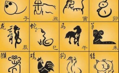 十二生肖排序,从鼠到猪的传奇故事