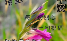 漂亮的图片带字,精选带字美图，展现文字与视觉的完美融合”