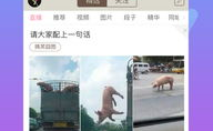 内涵段子网,内涵段子网，欢乐源泉大盘点