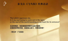 泰戈尔经典语录飞鸟集,泰戈尔诗意哲思的璀璨星辰
